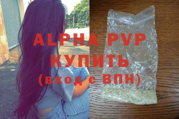 индика Алексин