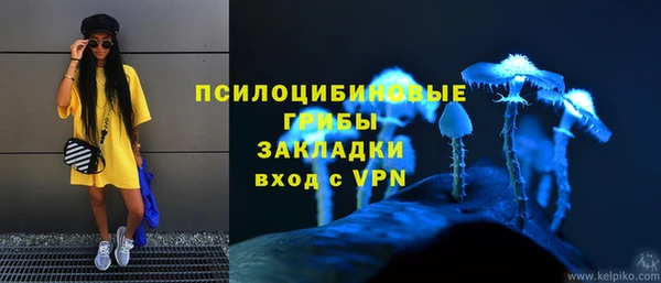 индика Алексин