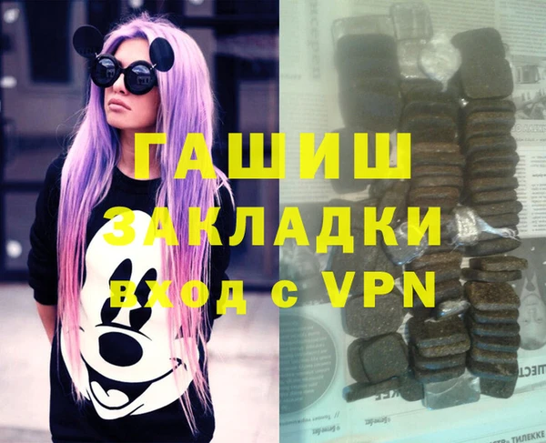 индика Алексин