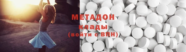индика Алексин