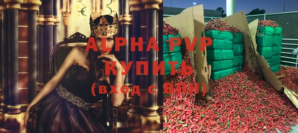 индика Алексин