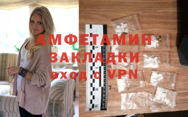 индика Алексин