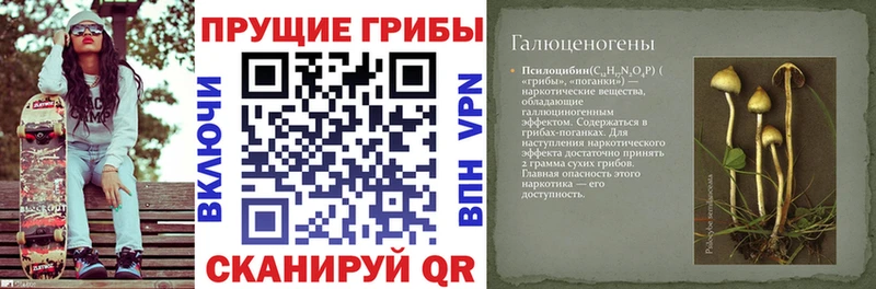 Псилоцибиновые грибы MAGIC MUSHROOMS  даркнет как зайти  Лахденпохья  купить закладку 